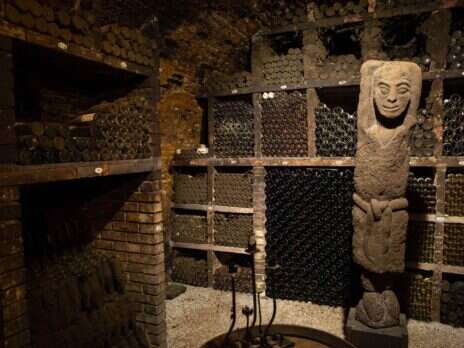 Riesling by Bründlmayer: A hedonism for refined people Riesling by Bründlmayer: A hedonism for refined people