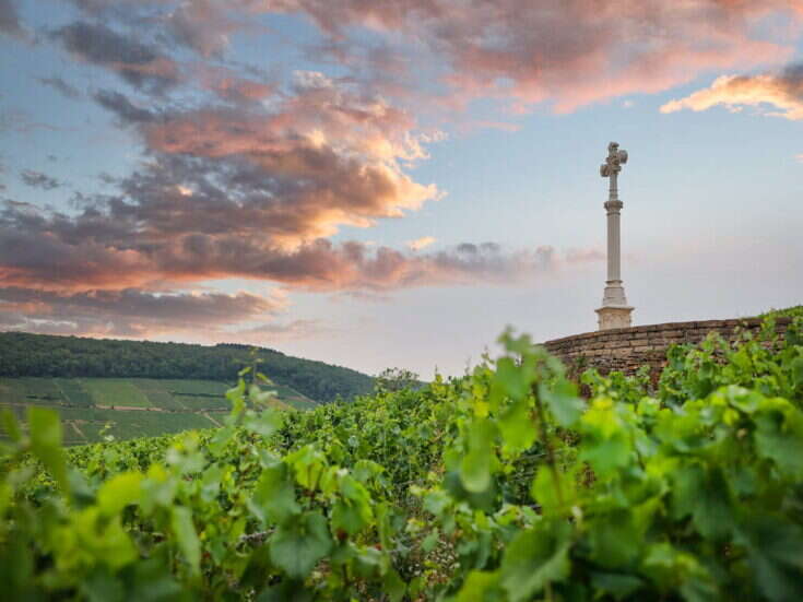 Corton-Charlemagne cross