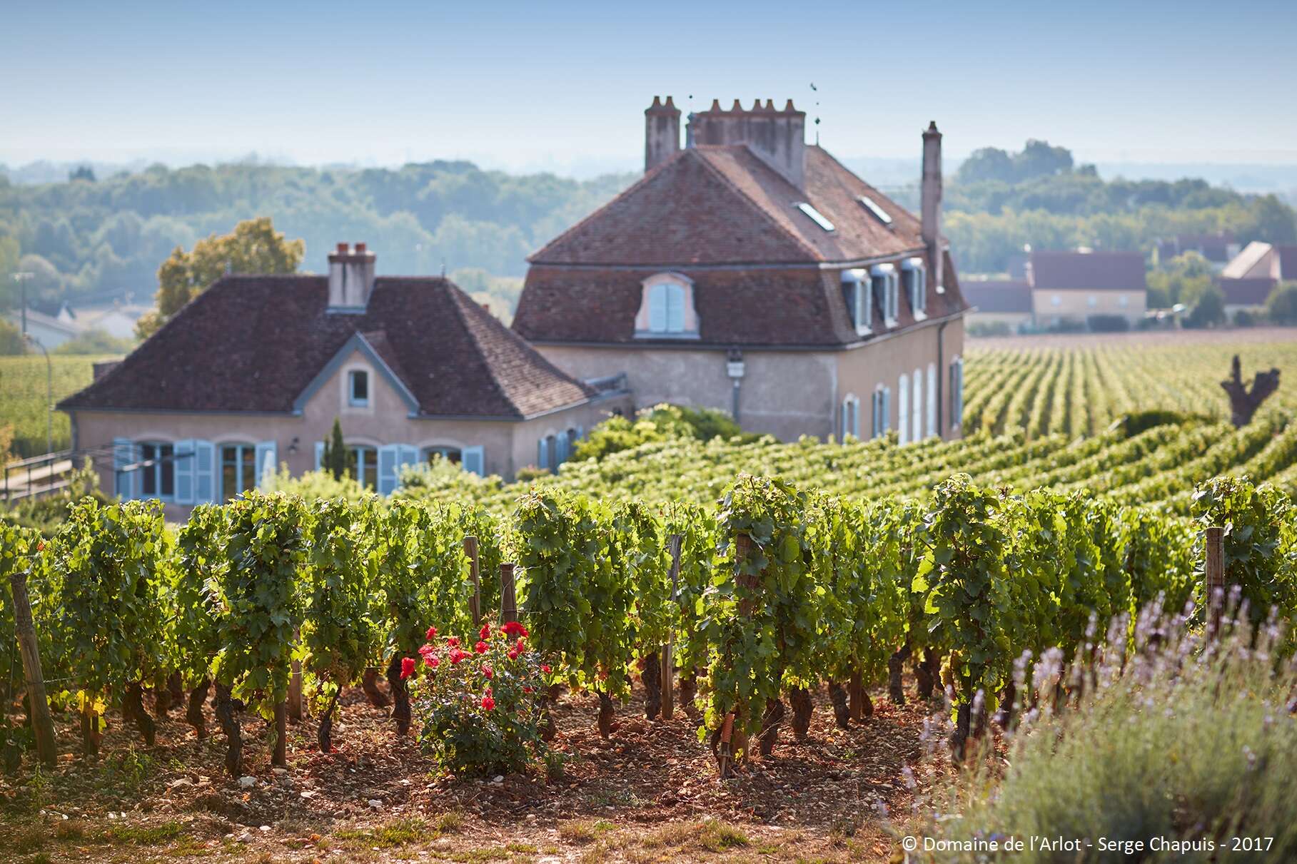 A letter from Burgundy: Domaine de l'Arlot A letter from Burgundy: Domaine de l'Arlot