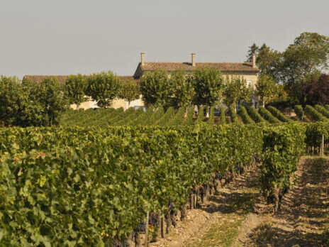 A year in tasting: Bordeaux A year in tasting: Bordeaux