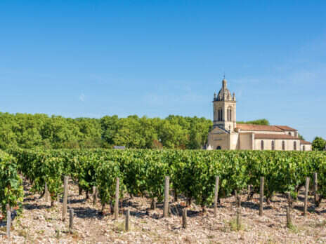 Bordeaux in the 21st century: 2015 vintage report Bordeaux in the 21st century: 2015 vintage report