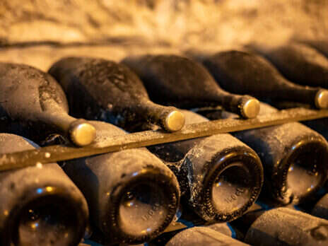 2008 v 2009 Champagne: The greatest and the great 2008 v 2009 Champagne: The greatest and the great