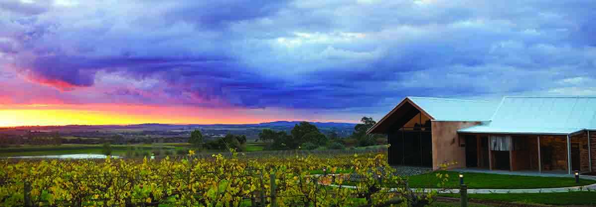 Grant Burge: The timeless story of a Barossa great Grant Burge: The timeless story of a Barossa great