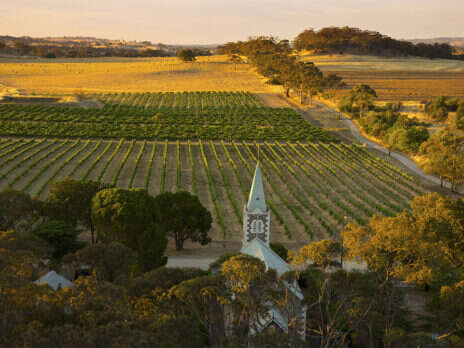 Henschke 2017 Shiraz: Impressive elegance in a cooler year Henschke 2017 Shiraz: Impressive elegance in a cooler year