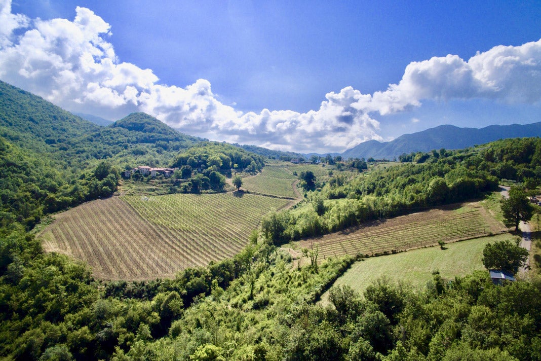 I Ciacca, Picinisco: Forgotten vines in an unforgettable place I Ciacca, Picinisco: Forgotten vines in an unforgettable place