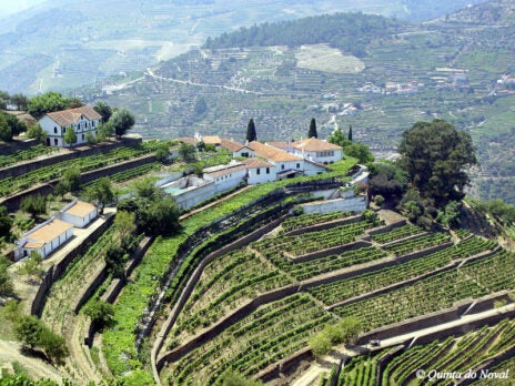 Quinta do Noval declares 2017 Vintage