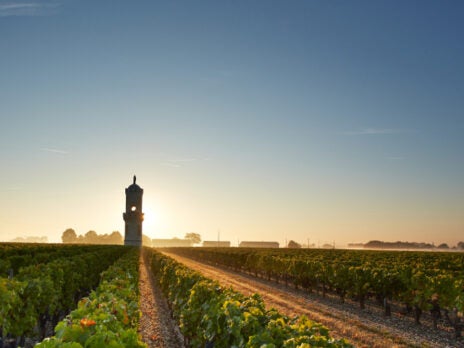 Bordeaux 2017 En Primeur: Goodwill or strong will?