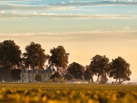 Pichon Lalande praises biodynamics for wine complexity