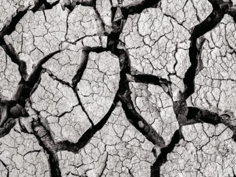 Between a rock and a hard place Vineyard Soils