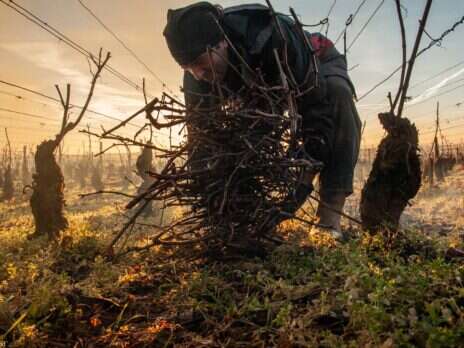 Errazuriz Wine Photographer of the Year: Wyand heads inspiring list of winners