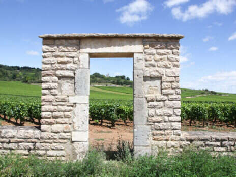 2014 white Burgundy: A retrospective 2014 white Burgundy: A retrospective
