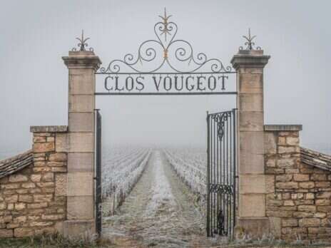 Château de la Tour 2018 Clos-Vougeot Vieilles Vignes: A pattern of restorative loveliness Château de la Tour 2018 Clos-Vougeot Vieilles Vignes: A pattern of restorative loveliness