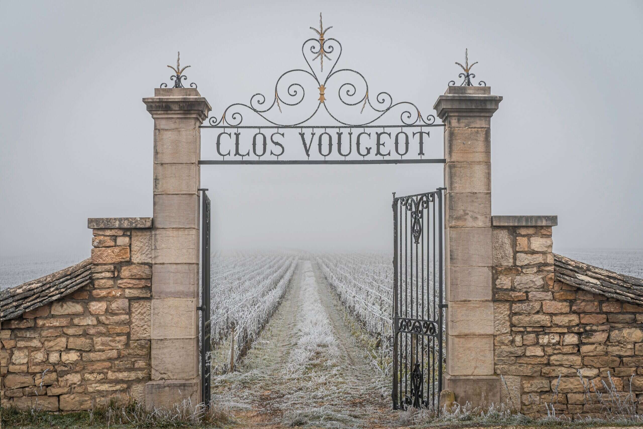 Château de la Tour 2018 Clos-Vougeot Vieilles Vignes: A pattern of restorative loveliness