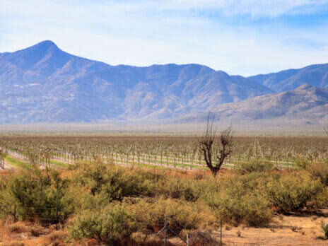 Arizona: Frontier spirit Arizona: Frontier spirit