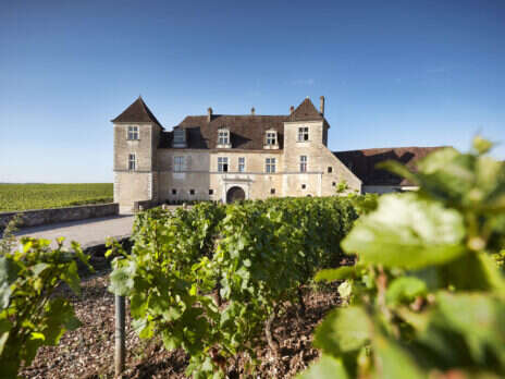 Clos de Vougeot: A good-cause cuvée Clos de Vougeot: A good-cause cuvée