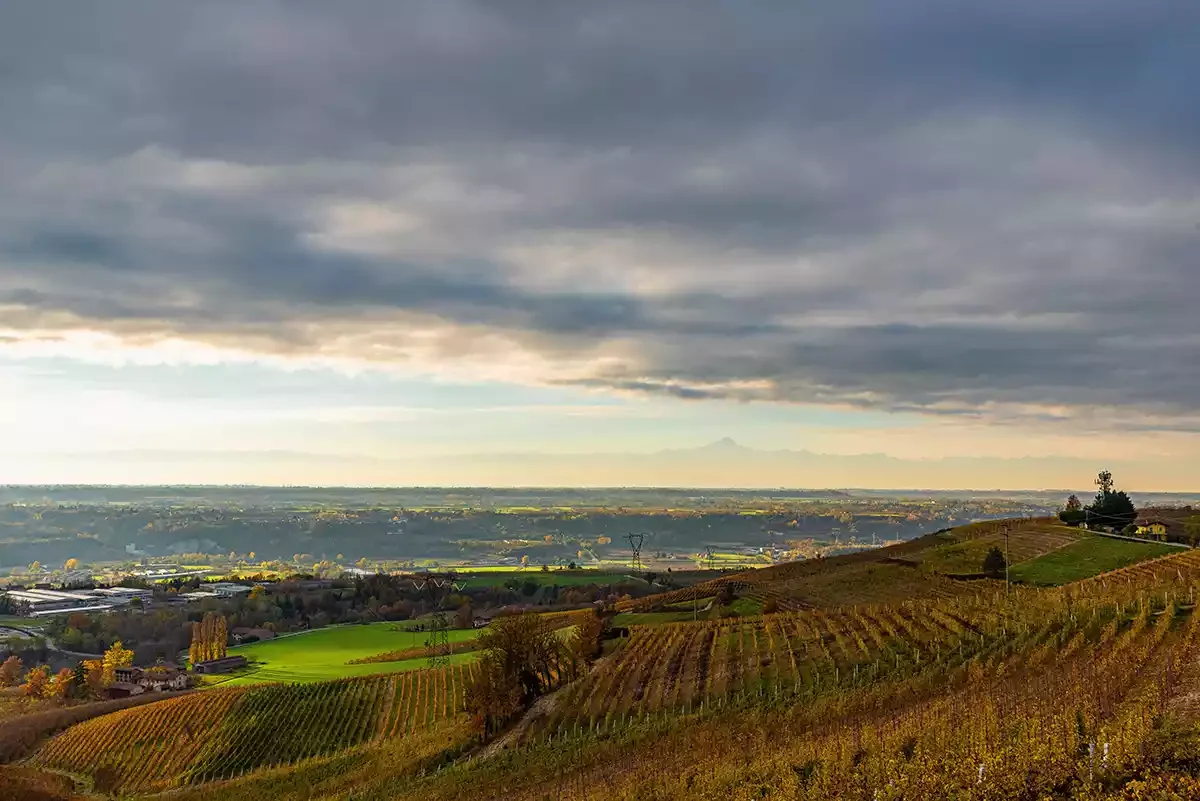 2019 Barolo: Much purity and refinement 2019 Barolo: Much purity and refinement