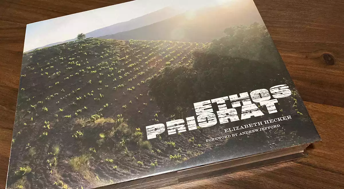 A panoramic portrait of Priorat with a visceral sense of place A panoramic portrait of Priorat with a visceral sense of place