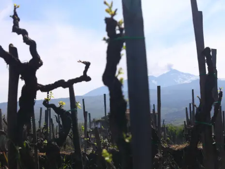Etna Reds: Weightless wonders Etna Reds: Weightless wonders