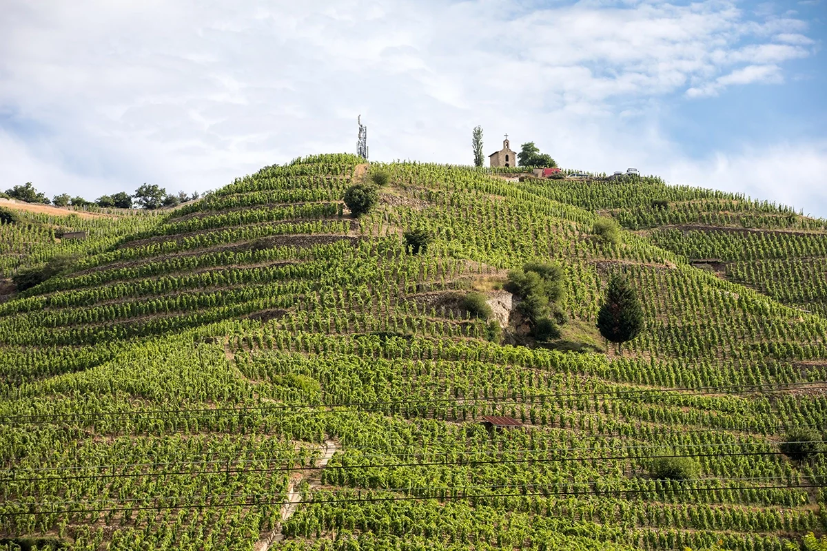 2021 Rhône: The good, the bad, and the amorphously mediocre 2021 Rhône: The good, the bad, and the amorphously mediocre