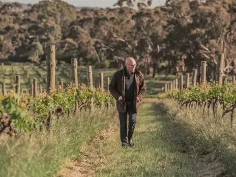 Australian Riesling: The regions, producers, and wines
