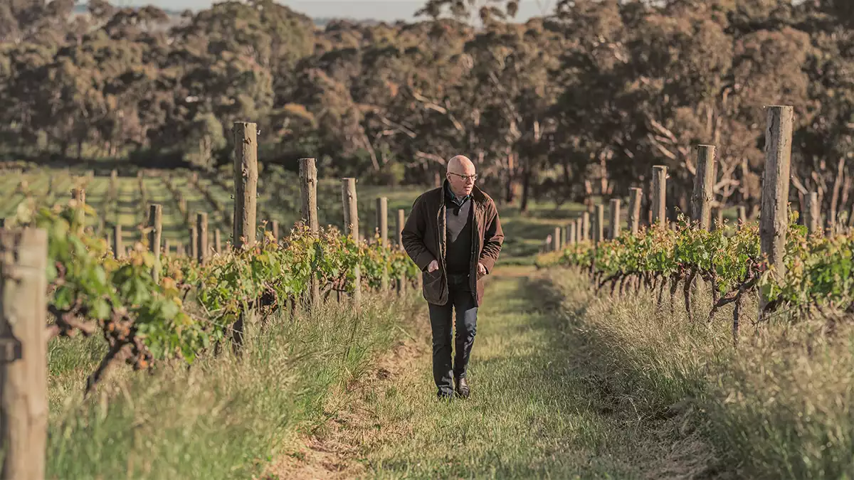 Australian Riesling: The regions, producers, and wines