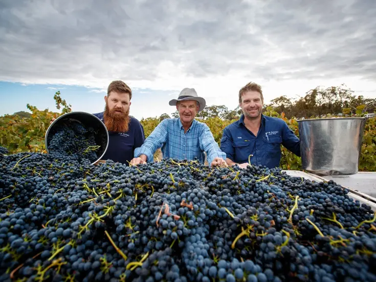 50 Years of Jim Barry The Armagh Shiraz: A very Australian grand vin