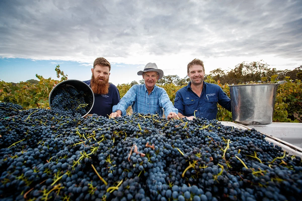 50 Years of Jim Barry The Armagh Shiraz: A very Australian grand vin 50 Years of Jim Barry The Armagh Shiraz: A very Australian grand vin