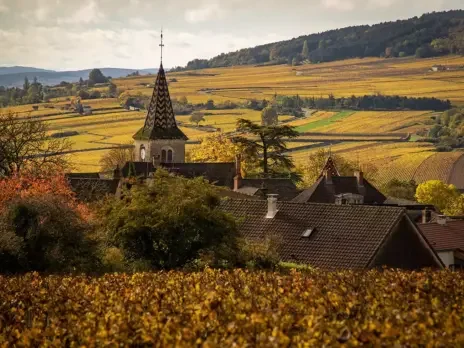 <em>On Burgundy</em>: A splendid, companionable reflection of wine-drenched bounty <em>On Burgundy</em>: A splendid, companionable reflection of wine-drenched bounty