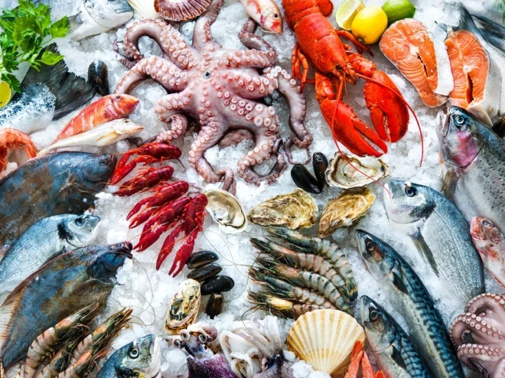 the best wine to have with fish and seafood
