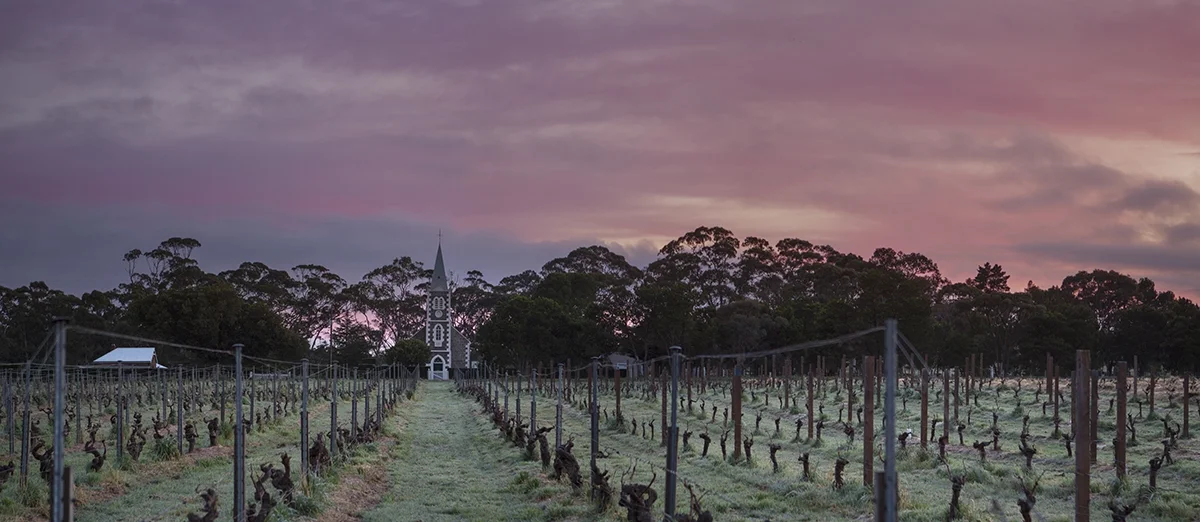 Henschke Hill of Grace 1958–2018: A display of quality very rarely seen Henschke Hill of Grace 1958–2018: A display of quality very rarely seen