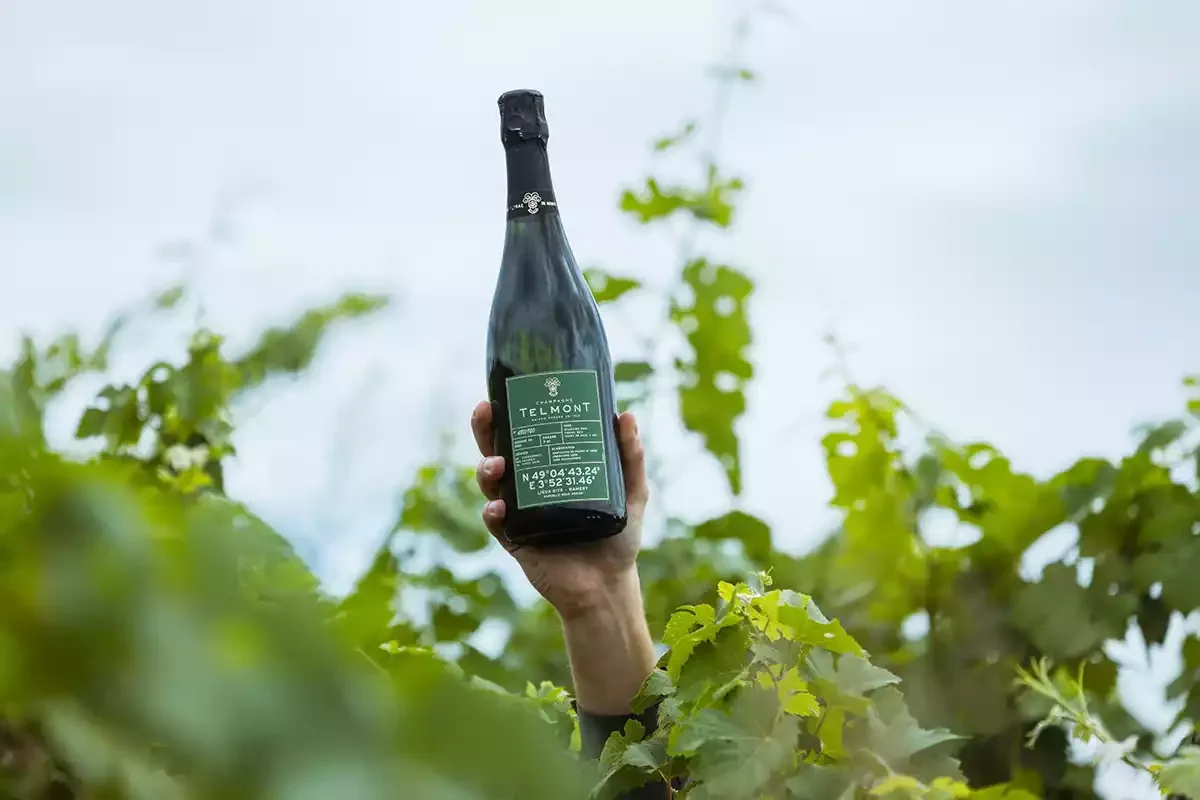 2012 Champagne Telmont Lieux-Dits Parcelle Sous Adrien: Playing with plots 2012 Champagne Telmont Lieux-Dits Parcelle Sous Adrien: Playing with plots