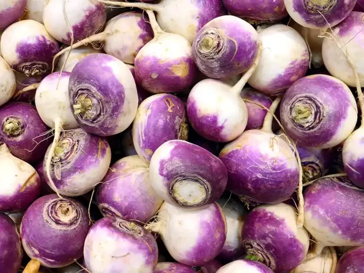 Turnips a vegetable discussed in Stuffed by Pen Vogler